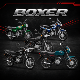 BOXER