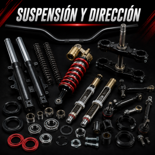 SUSPENSIÓN Y DIRECCIÓN